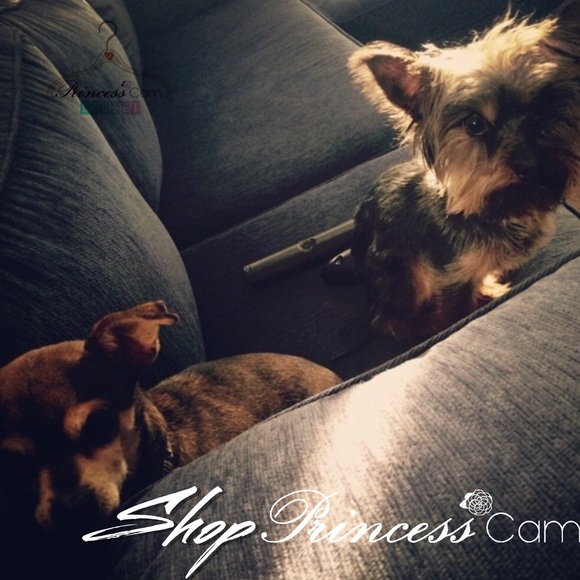 Meet Your Sassy Stylist, Ambassador PrincessCam! - Picture 4 of 8